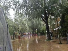 -济南方特东方神画