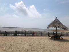 -北海金海湾红树林生态旅游区