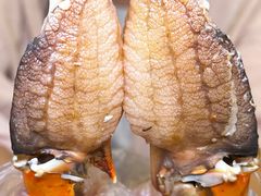 -喜记避风塘炒辣蟹(旗舰店)