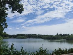 -沙家浜风景区