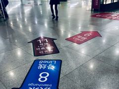 -东方体育中心(地铁站)