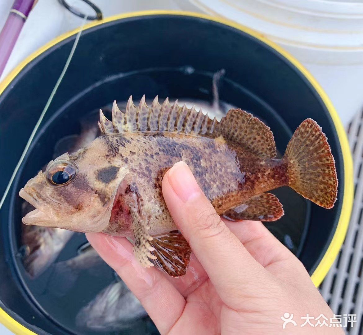 与你一起玩攒全球→小星山