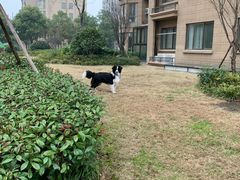 -中南·世纪锦城