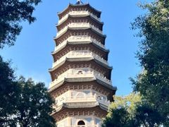 -灵谷景区