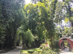 -望江楼公园