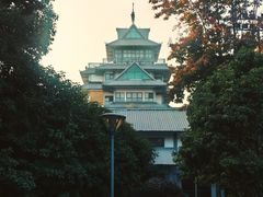 -金鸡湖桃花岛