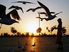 -东港音乐喷泉广场