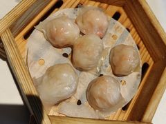 -顺德渔村·岭南一号