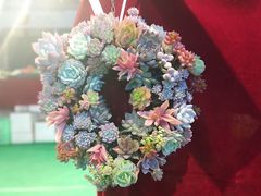 -甘肃国际会展中心