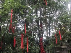-梦姑塘文化公园