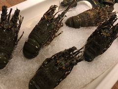 -雍和会海鲜姿造自助(湖东路店)