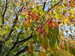 -长春公园(普阳街道)