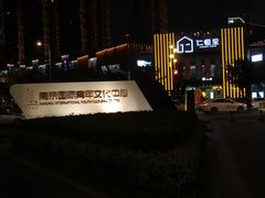 -南京国际青年文化中心