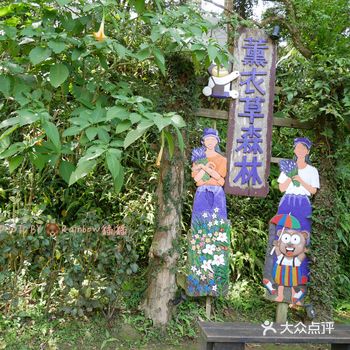 呼吸新鮮空氣，很是舒服