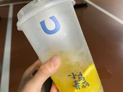 -春丽小马(济南恒隆广场店)