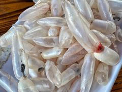 鲮鱼泡-章记正宗南岗鱼蛋火锅