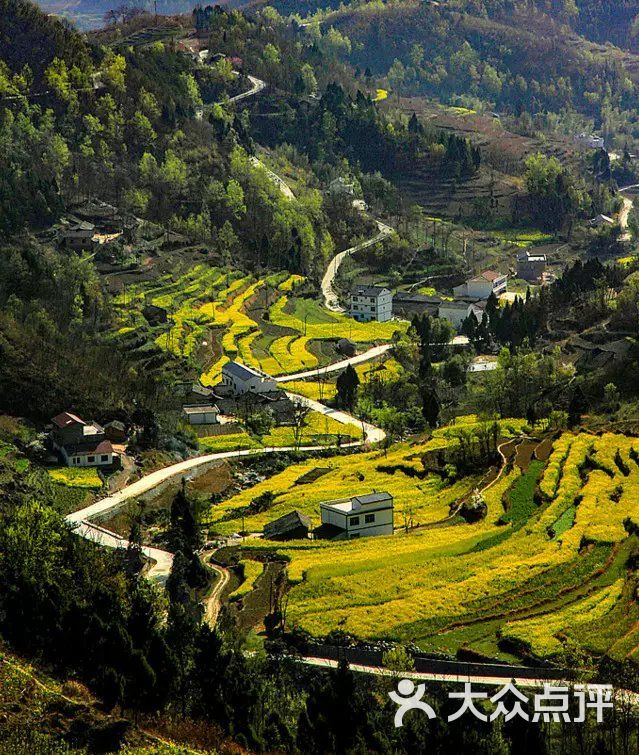 鳳堰古梯田