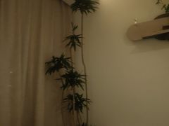 -沐森 •疗愈头疗馆(打浦桥店)