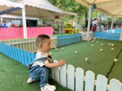 -萌宠亲子动物乐园(槐房万达店)