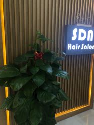 -尚·丹尼Hair