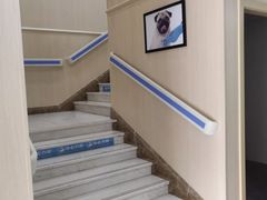 -喜多萌中农锦绣动物医院24H·猫科·牙科MRI·CT