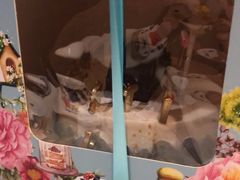 -农家大院(纪王店)