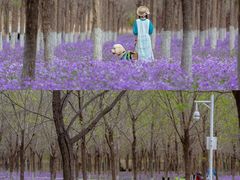 -马家湾湿地公园
