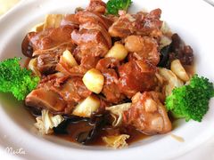 -墨脱石锅椰子鸡•香草鸭•东山羊(大东海店)