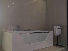 -乌鲁木齐百世昌龙泉酒店(大巴扎店)