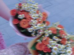 -循礼门鲜花花市(武汉循礼门店)