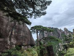 -黄山风景区