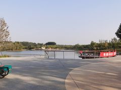 -东郊湿地公园