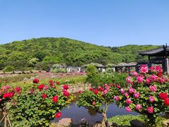 -龙寺生态园