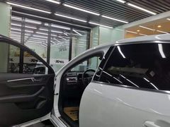 -XPEL旗舰店·汽车贴膜·隐形车衣·改色贴膜