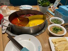 -青瓷火锅料理(西单大悦城店)