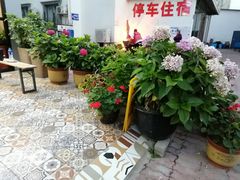-蟹谢蒸鲜自助餐厅