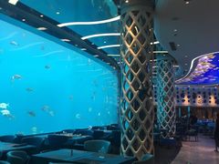 -瑞德姆美人鱼海底演艺主题餐厅(亚龙湾店)
