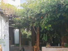 -汤宴·参须肚包鸡(南京路店)