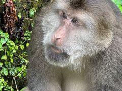 -西岭雪山大飞水景区