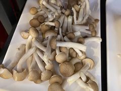 -食潮汕头鲜牛馆(望京保利店)