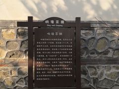 -阳台山自然风景区