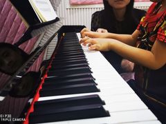 -刘诗昆艺术学校(一品天下校区)