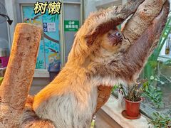 -正佳雨林生态植物园