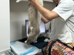 -派联宠物医院·24h·CT·异宠