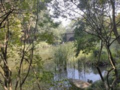 -杭州半山国家森林公园