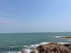 -八两八金·莱芜特色炒鸡(市南漳浦路店)
