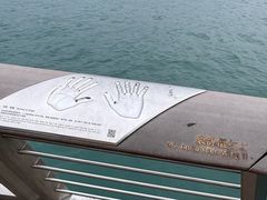 -星光大道
