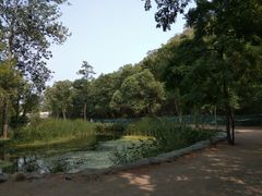 -白水寺森林公园