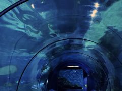 -福州罗源湾海洋世界旅游区