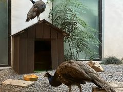 -四季明湖·鲁菜海鲜(明湖店)